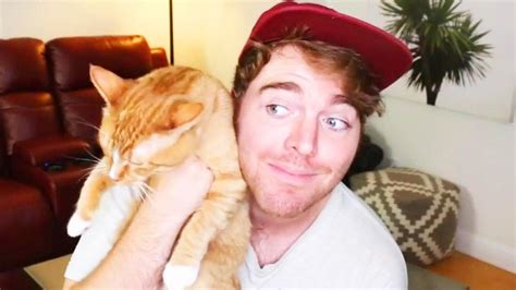 what did shane dawson do to his cat|shane dawson cat confession.